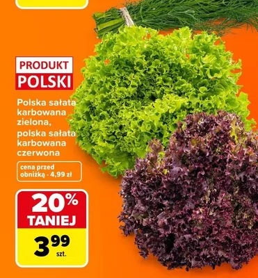 Sałata karbowana czerwona polska promocja w Carrefour Market