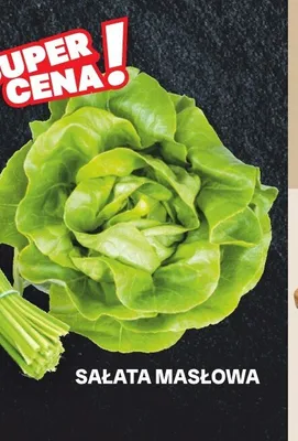 Sałata masłowa promocja w Chorten