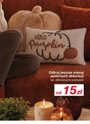 Poduszka dekoracyjna promocja w KiK