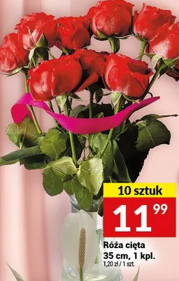 Róża cięta 35 cm, 1 kpl. promocja w Twój Market
