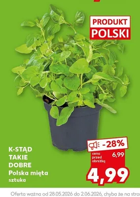 Polska mięta K-Stąd Takie Dobre promocja w Kaufland