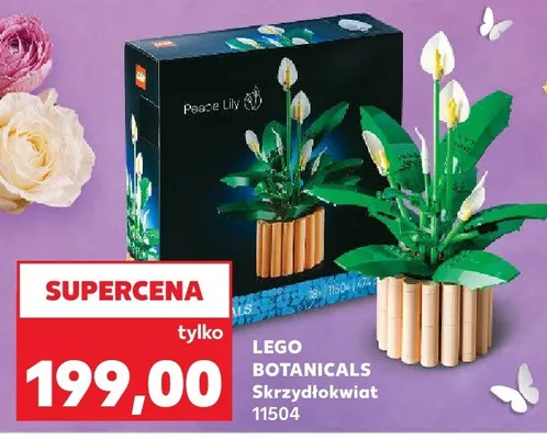 Skrzydłokwiat 11504 promocja w Kaufland