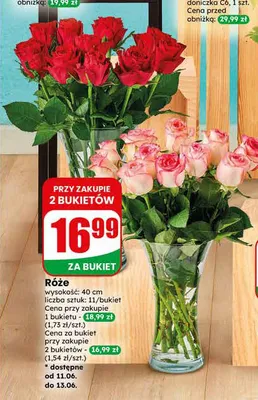 Róże 11-pak promocja w Dino