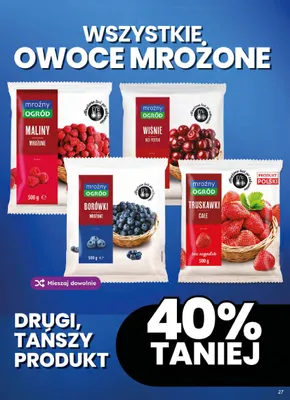 Owoce mrożone Mroźny Ogród promocja w Dino