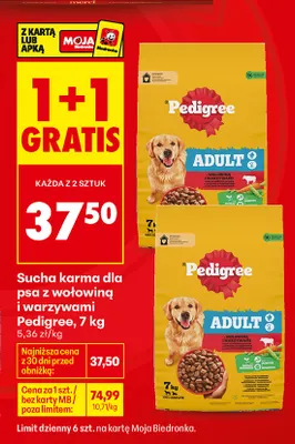 Sucha karma dla psa z wołowiną i warzywami Pedigree promocja w Biedronka