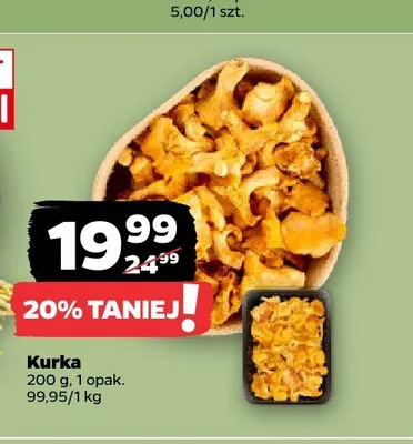 Kurka promocja w Netto
