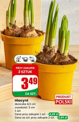 Gazetka 06 / 2026, strona 59 promocja w Dino