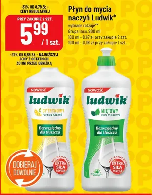 Płyn do mycia naczyń Ludwik promocja w POLOmarket