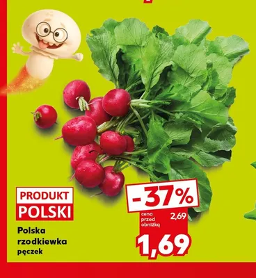 Rzodkiewka polska promocja w Kaufland