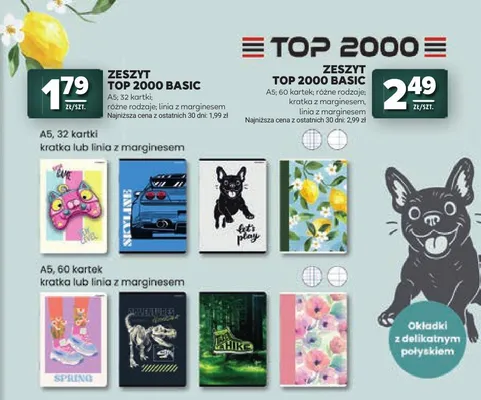 Zeszyt TOP 2000 Basic A5 60 kartek promocja w Stokrotka