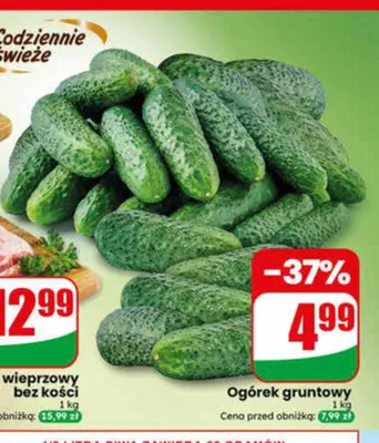 Ogórek gruntowy promocja w Dino