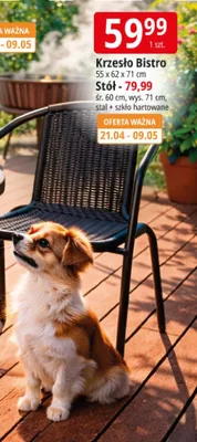 Krzeło Bistro promocja w Leclerc