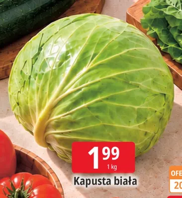 Kapusta biała promocja w Leclerc