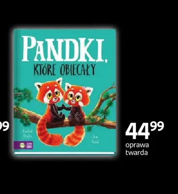 Książka Pandki, które obiecały Zielona Sowa promocja w Empik