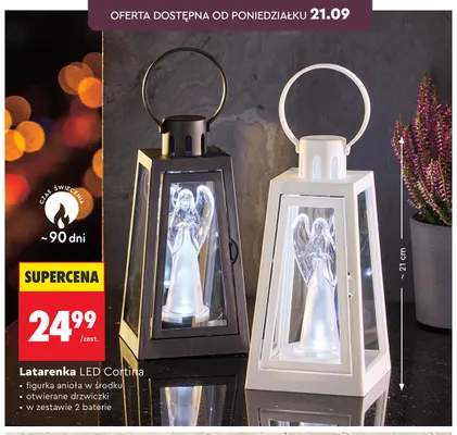 Latarenka LED z figurką anioła Cortina promocja w Biedronka