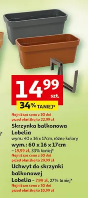 Skrzynka balkonowa Lobelia 40x16x17cm promocja w Auchan