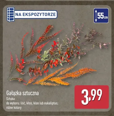 Gałązka sztuczna kłos promocja w Aldi