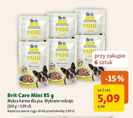 Mokra karma dla psa Brit Care Mini promocja w MAXI ZOO