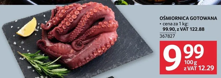 Ośmiornica gotowana cena za 1 kg promocja w Selgros
