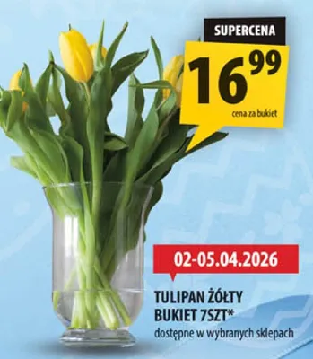 Tulipan żółty bukiet promocja w Arhelan