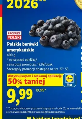 Borówki amerykańskie polskie promocja w Lidl
