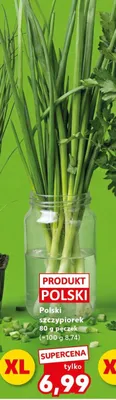 Szczypiorek wydłużony sztuka promocja w Kaufland