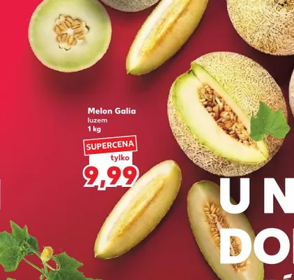 Melon Galia luzem promocja w Kaufland