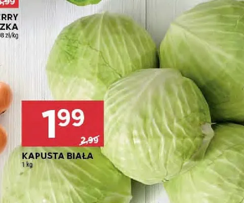 Kapusta biała promocja w Stokrotka