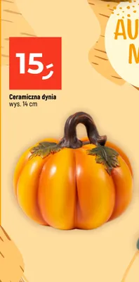 Ceramiczna dynia promocja w Dealz