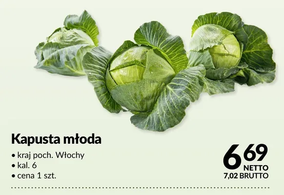 Kapusta młoda promocja w Makro