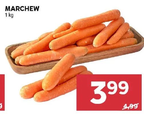Marchew promocja w Stokrotka