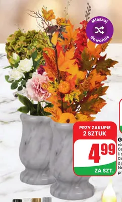 Gałązka jesienna promocja w Dino