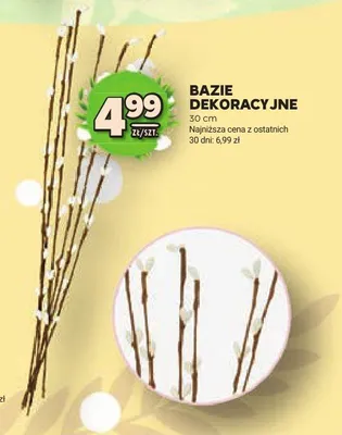 Bazie dekoracyjne 30cm promocja w Stokrotka