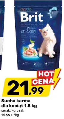 Sucha karma dla kociaź 1,5 kg promocja w Bricomarche