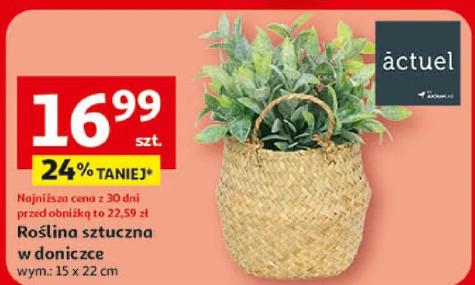 Roślina sztuczna w doniczce promocja w Auchan