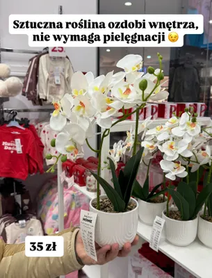 Roślina sztuczna orchidea w doniczce promocja w Pepco
