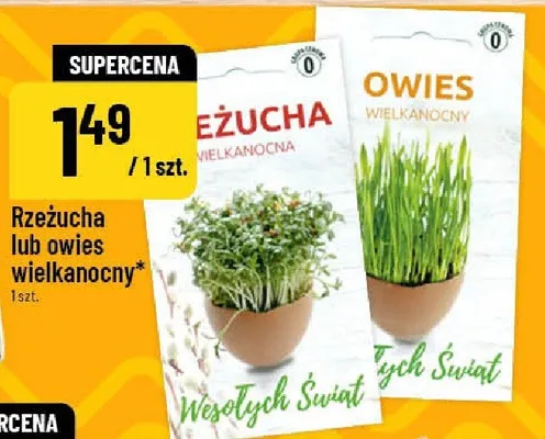 Rzeżucha lub owies wielkanocny promocja w POLOmarket