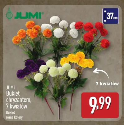 Bukiet chryzantem 7 kwiatów Jumi promocja w Aldi