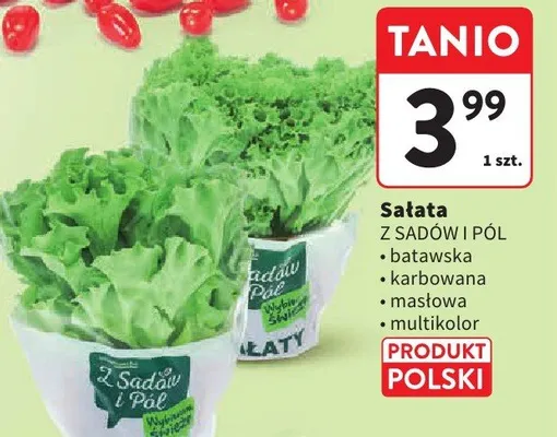 Sałata z sadów i pól promocja w Intermarche