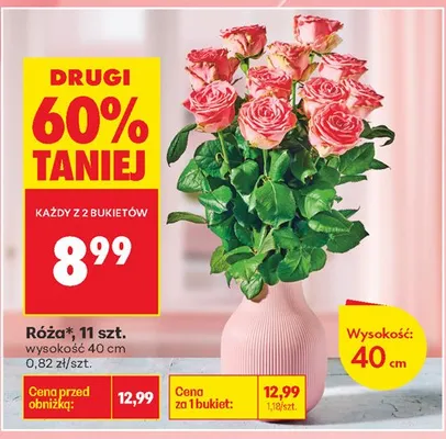 Róża 11 sztuk  promocja w Biedronka
