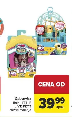 Zabawka linia LITTLE LIVE PETS promocja w Carrefour