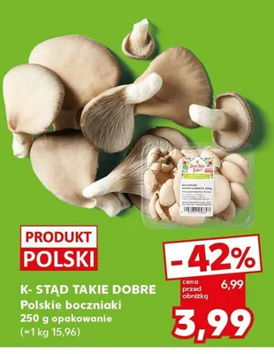 Boczniaki polskie K-STĄD TAKIE DOBRE promocja w Kaufland