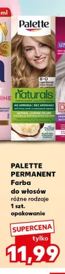 Farba do włosów Palette Permanent promocja w Kaufland