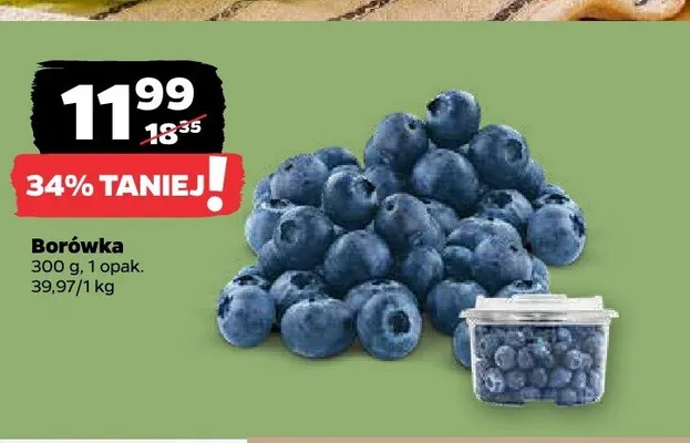 Borówka promocja w Netto