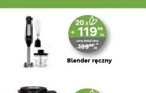 Blender ręczny Zwieger promocja w Stokrotka