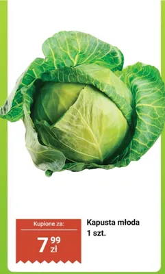 Kapusta młoda 1 szt. promocja w Biedronka