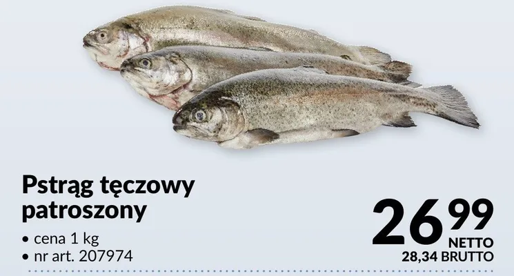 Pstrąg tęczowy patroszony promocja w Makro