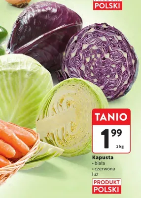 Kapusta czerwona luz promocja w Intermarche