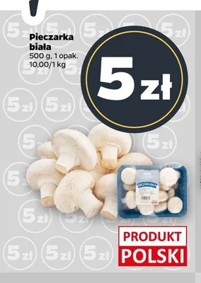 Pieczarka biała promocja w Netto