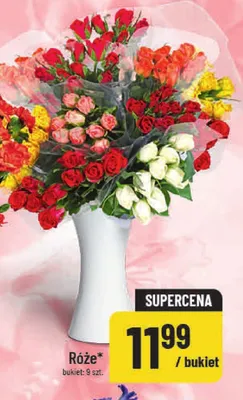 Róże promocja w POLOmarket